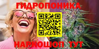 стафф Бузулук