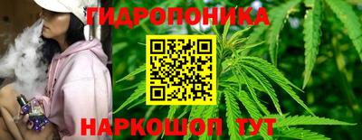 стафф Бузулук