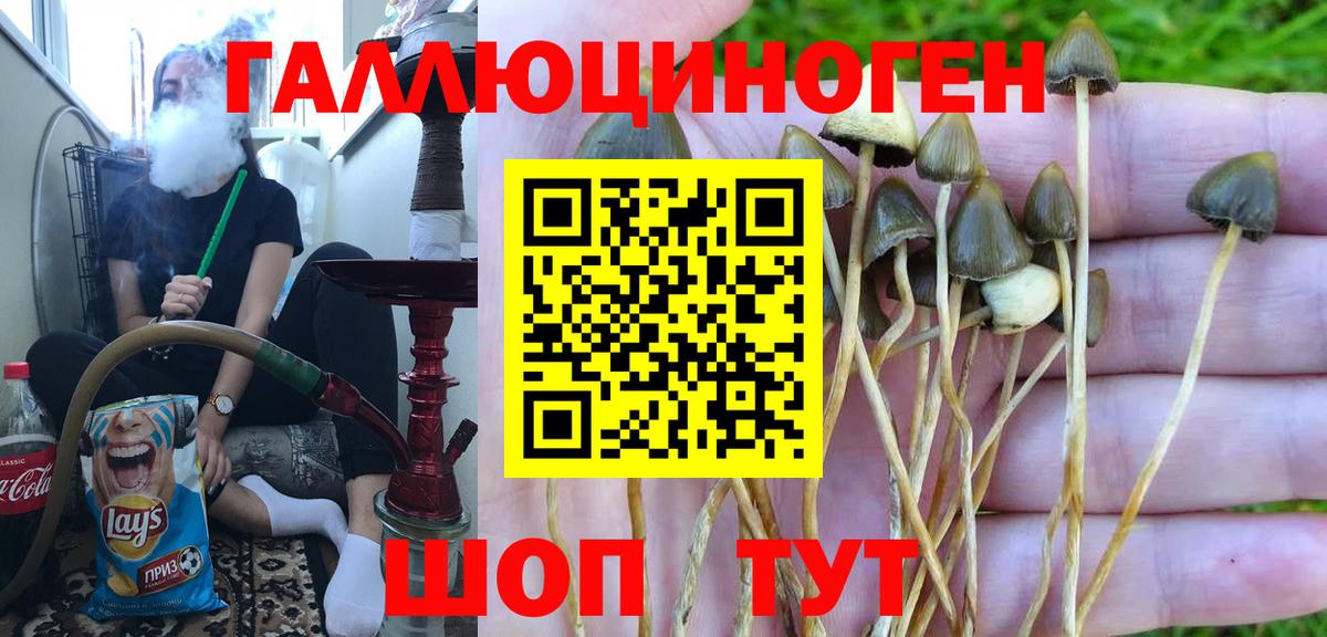 Псилоцибиновые грибы мухоморы Новочебоксарск