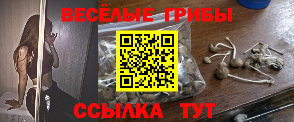 Галлюциногенные грибы MAGIC MUSHROOMS  Вход с VPN  Новочебоксарск  Галлюциногенные грибы мицелий 